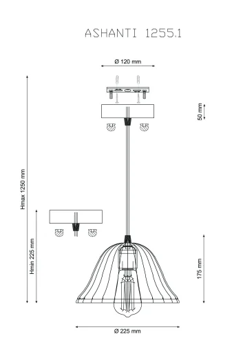 Светильник подвесной лофт ASHANTI 1255.1 Lucia Tucci прозрачный 1 лампа, основание чёрное в стиле лофт  фото 3